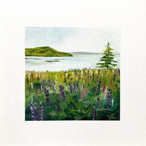8x8 Maine Original Oil Painting Lupine Flowers Landscape Coastal Atlantic Signed